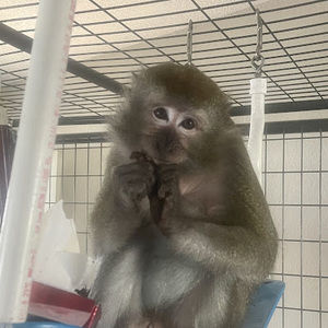 Meet your Posher, Barbara